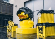 英雄联盟总决赛赛程-印尼队碾压韩国队，黄鸭组合高光表现