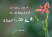 英雄联盟总决赛-双城记，当萨拉赫点燃安菲尔德，尼日利亚意志斩落巴斯克雄狮