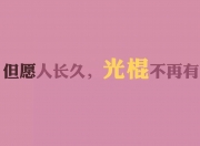 英雄联盟总决赛门票-当太阳冲垮王权，库里如何用F1哲学接管年度争冠