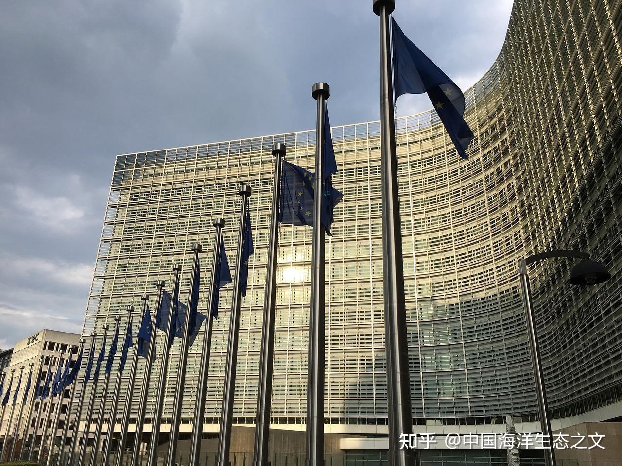 欧洲篮球俱乐部投资引来关注