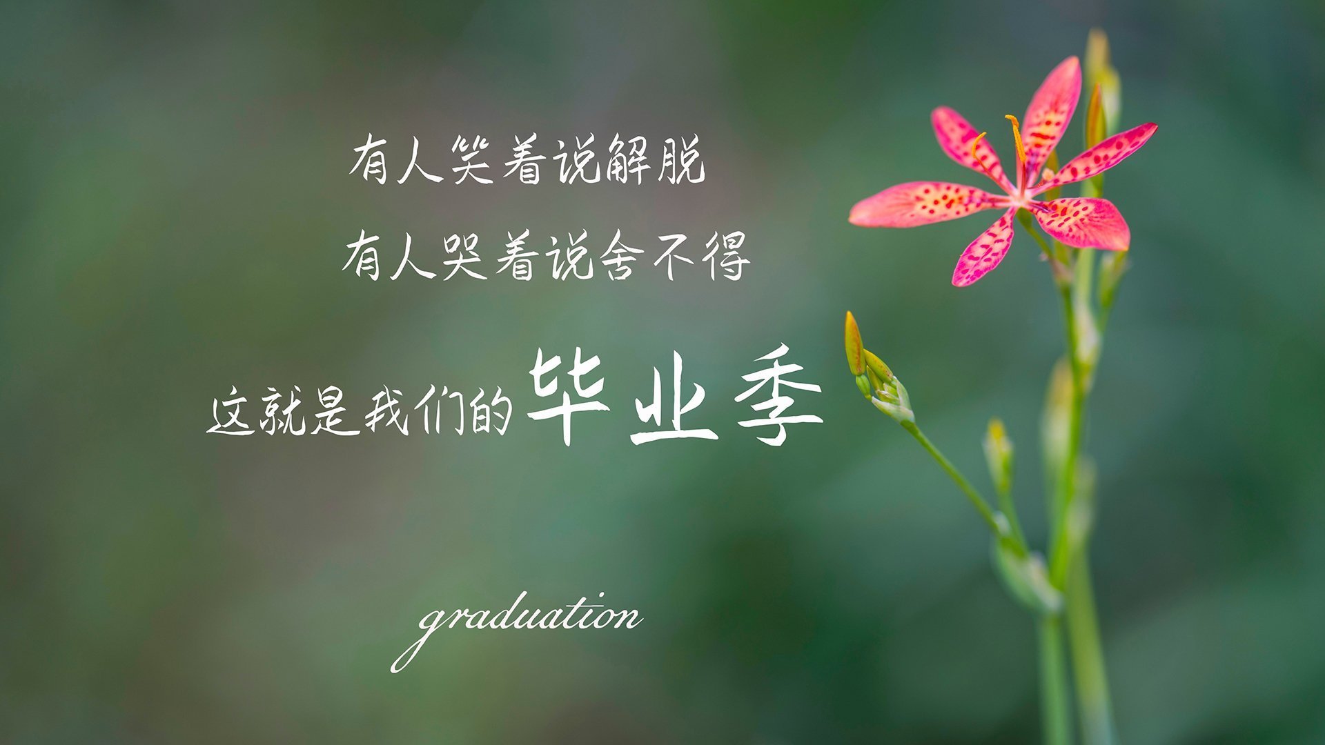 双城记，当萨拉赫点燃安菲尔德，尼日利亚意志斩落巴斯克雄狮