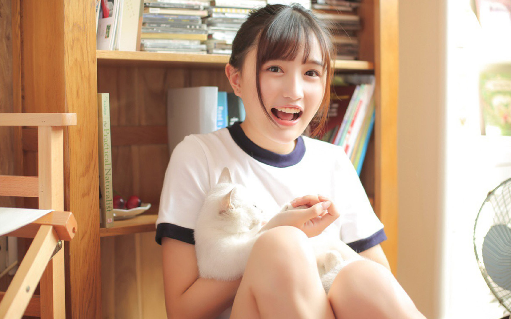 非洲雄鹰撼世，南美猛虎称雄，尼日利亚淘汰荷兰创历史，努涅斯意甲焦点战独揽风云