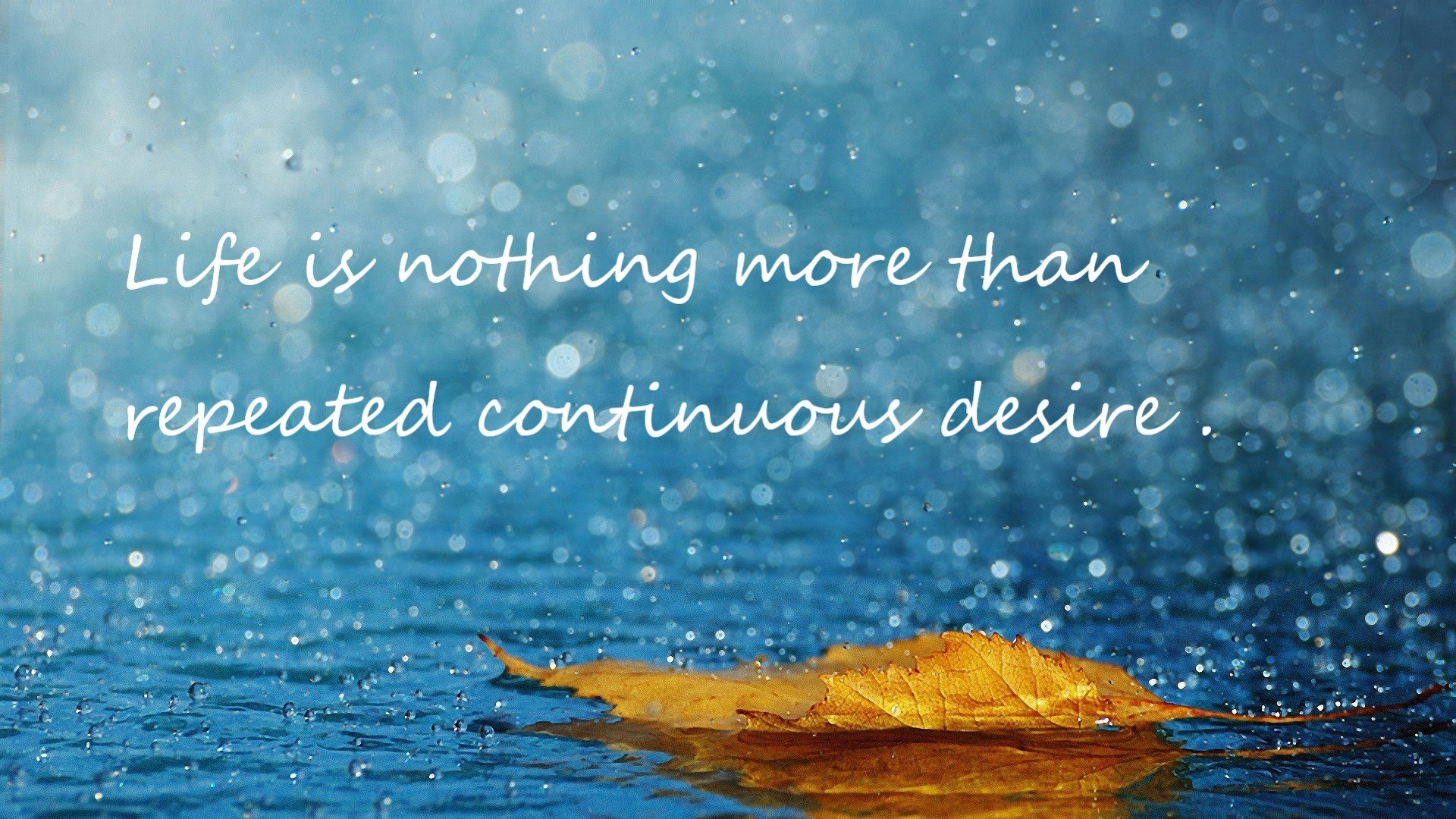 终章的新生，加克波爆发与亚特兰大的末节密码