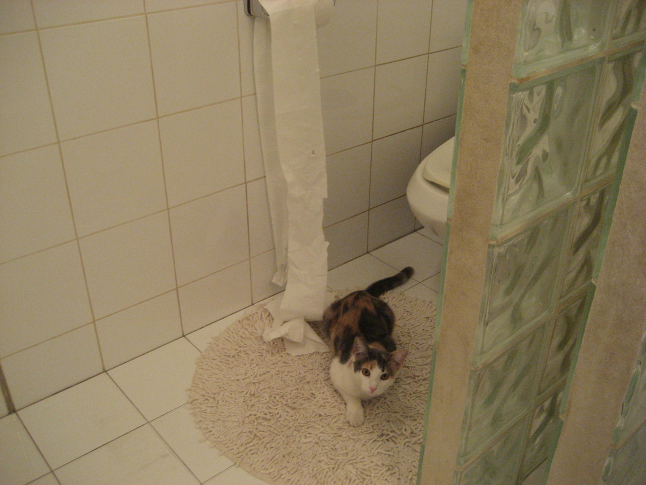 告别神话的制胜笔，伊布在尼斯海岸勾勒最后一抹传奇