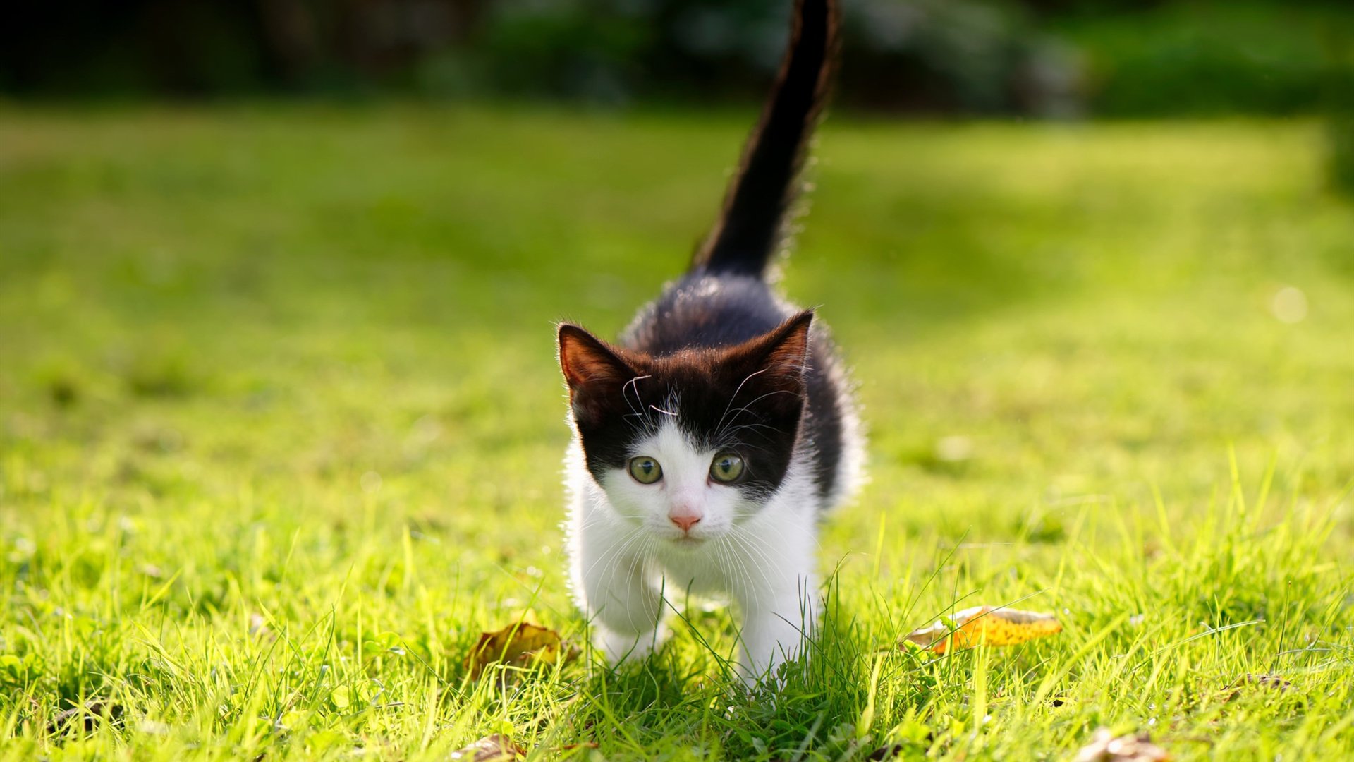 2023年5月22日,当宾州的肌肉撞上德州的弧线