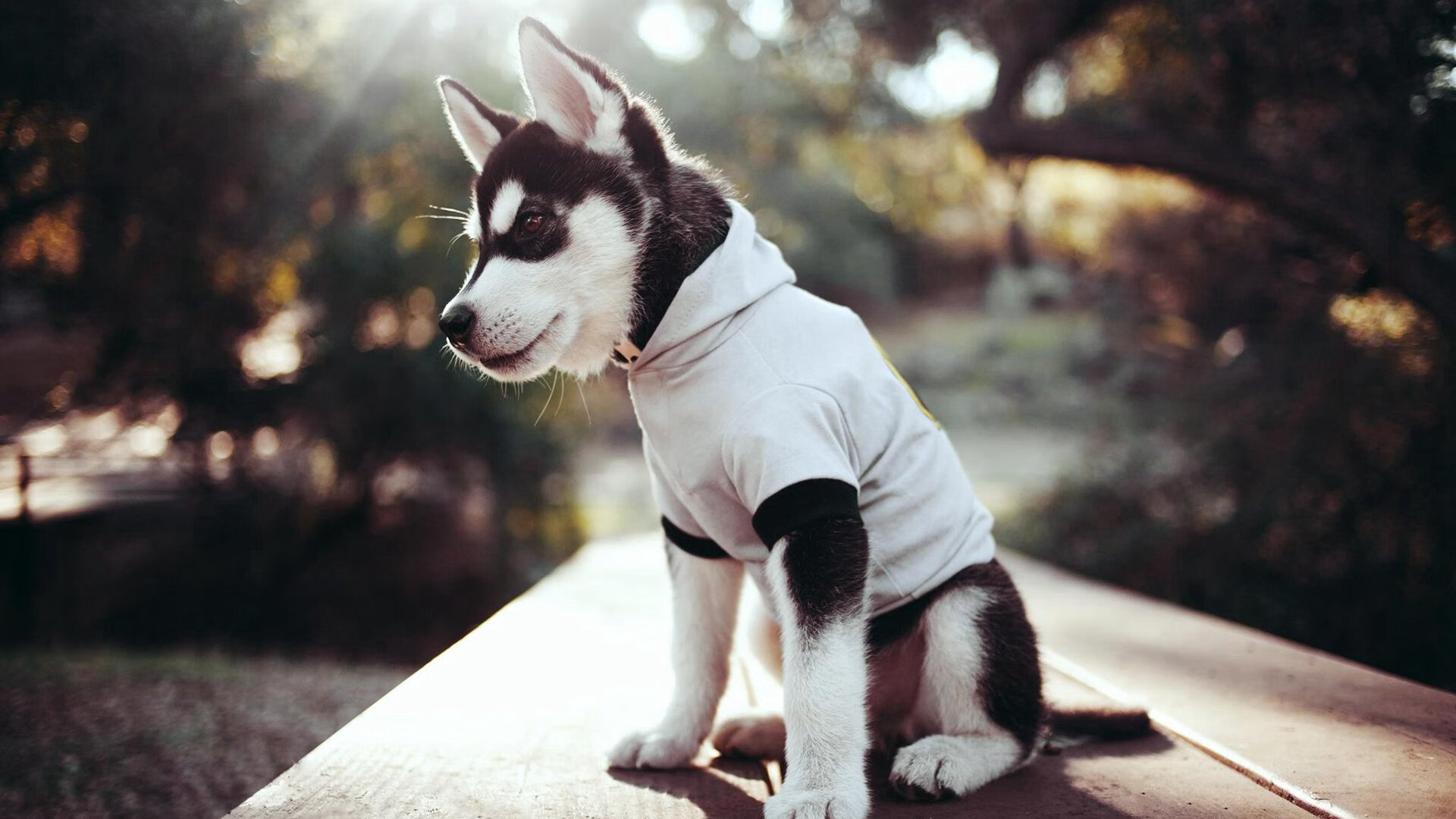 塞维利亚提前终结悬念，德里赫特孤胆英雄难救主