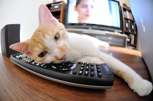 迪马利亚末节独舞，沙特逆转风暴撕裂摩纳哥不败金身