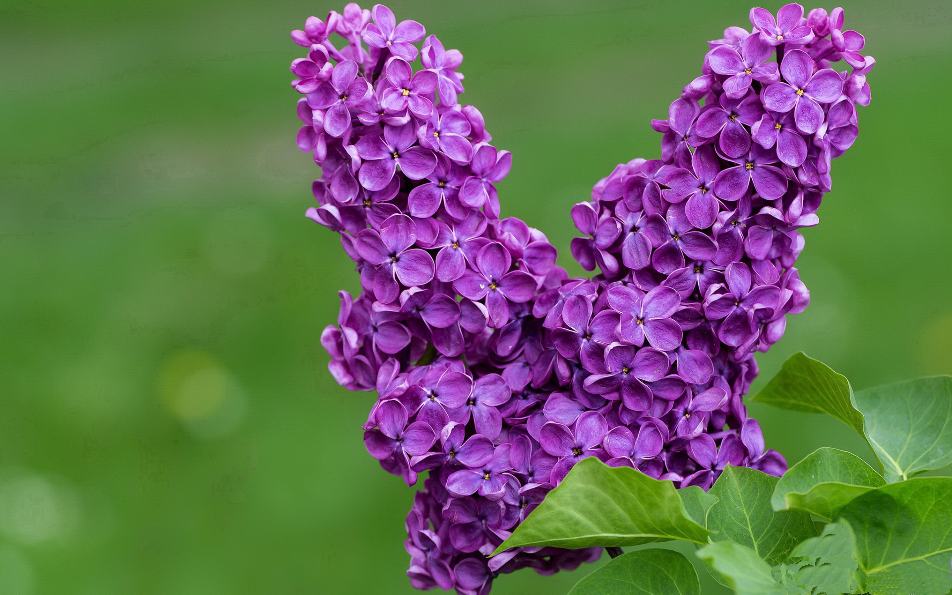 错位时空，掘金翻盘骑士，字母哥赛后评分拉满背后的哲学