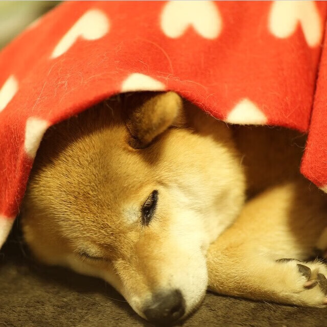 华尔街的射门，科迪的雨夜，当美式资本操盘威尔士心跳，法比尼奥如何成为那个关键先生