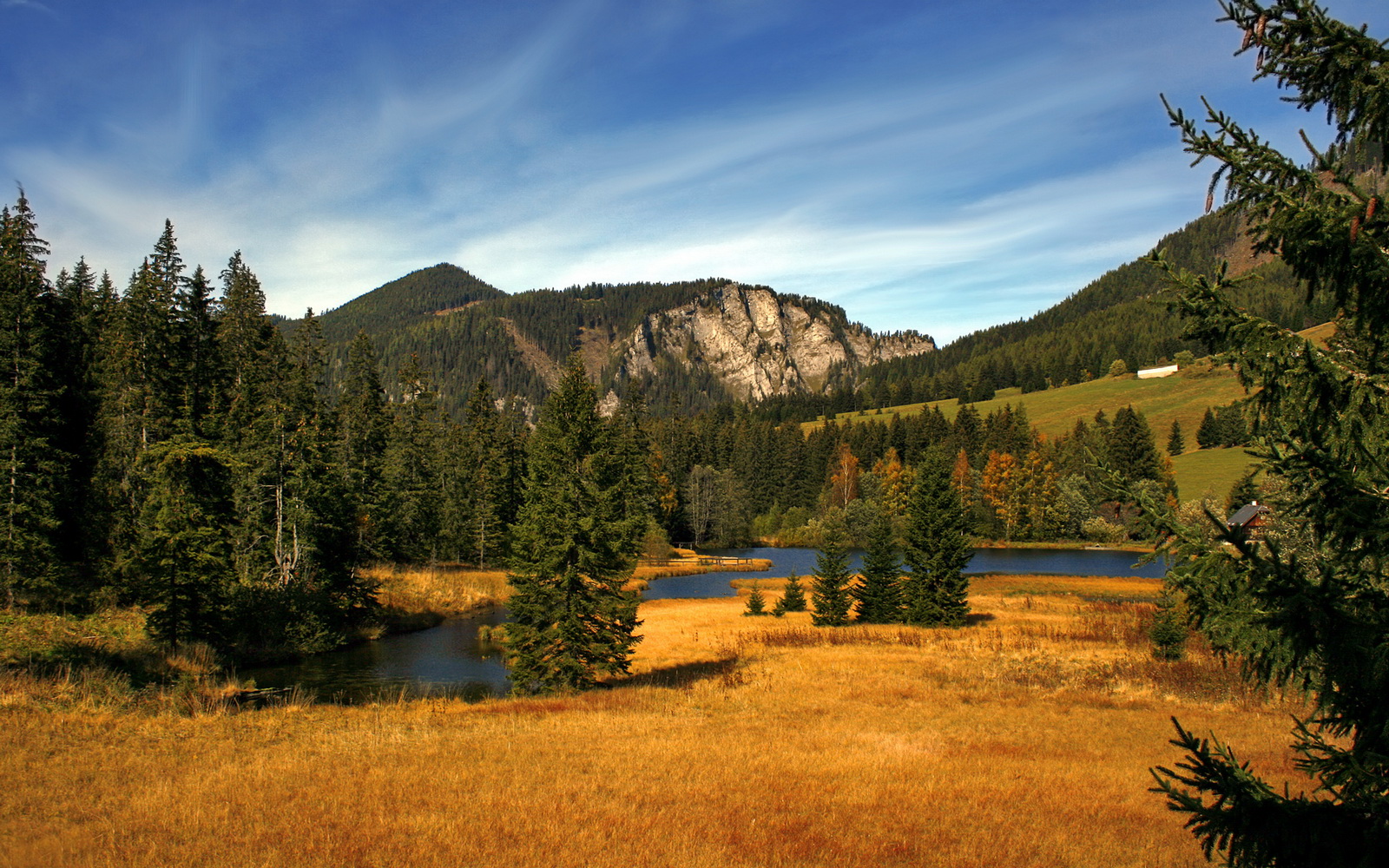 华尔街的射门，科迪的雨夜，当美式资本操盘威尔士心跳，法比尼奥如何成为那个关键先生