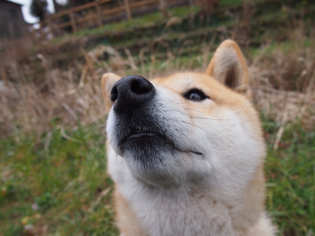 姆巴佩穿越火线，一场不可能的南半球压制级演出