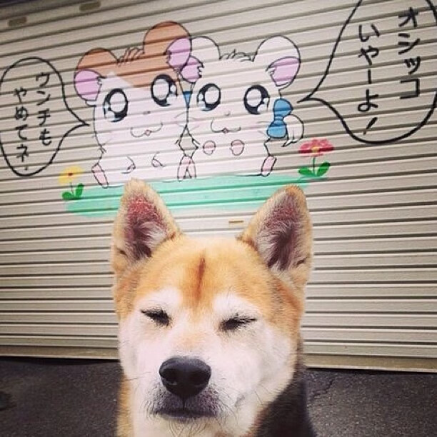 平行宇宙的绿茵剧本，安哥拉冲垮巴拉圭，福登成为关键先生