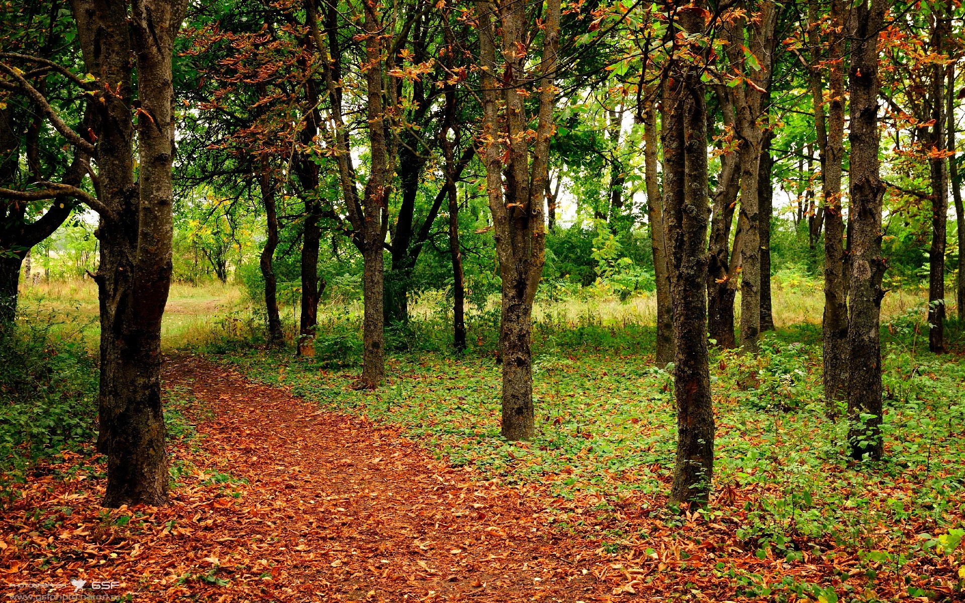 足球的隐形齿轮，从基多高原到伊斯坦布尔之夜