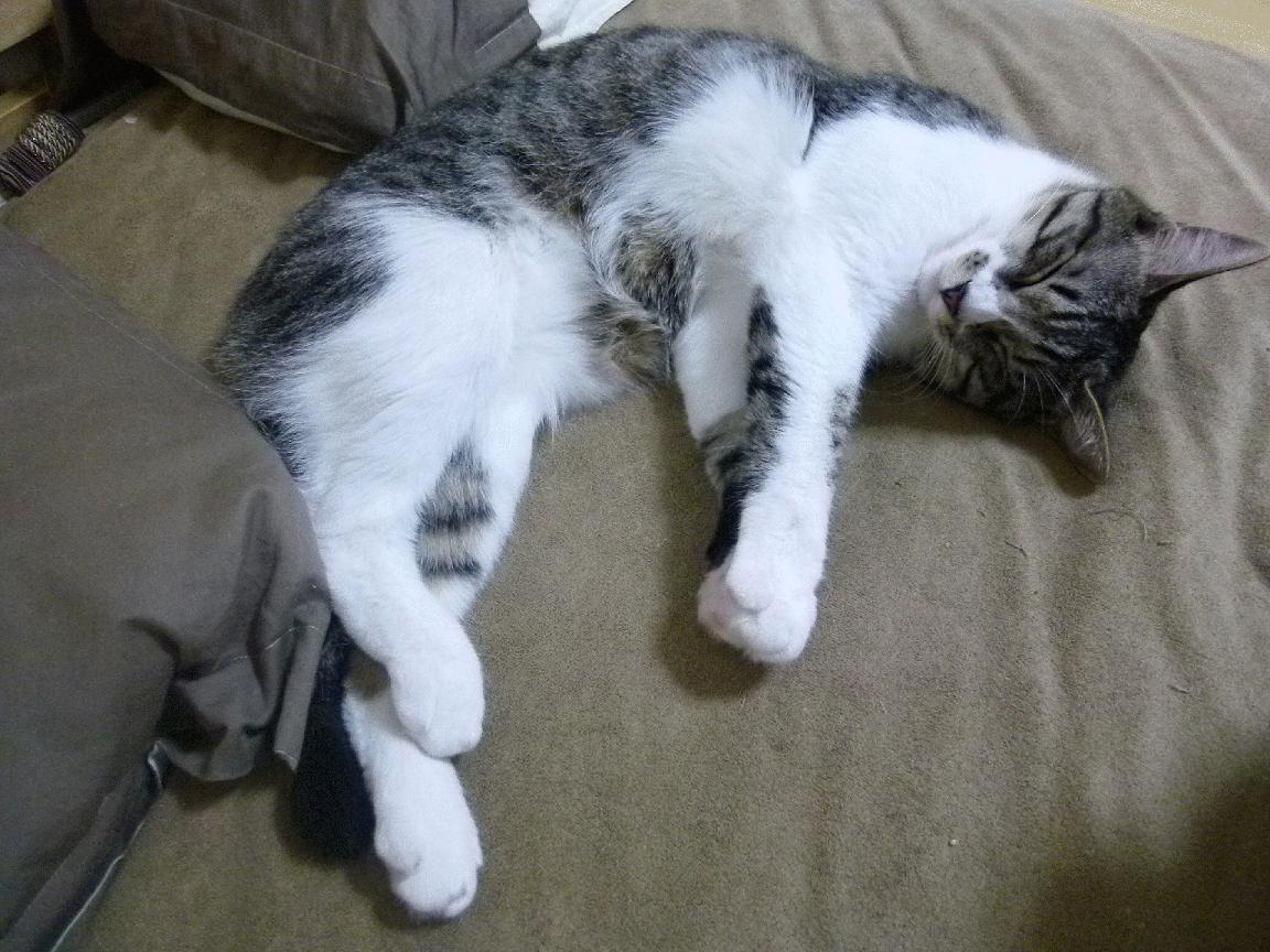 唯一掌控河流的人，当巴拉圭的奔涌遇见冰岛的冻结，萨拉赫的意志在裂缝中流淌