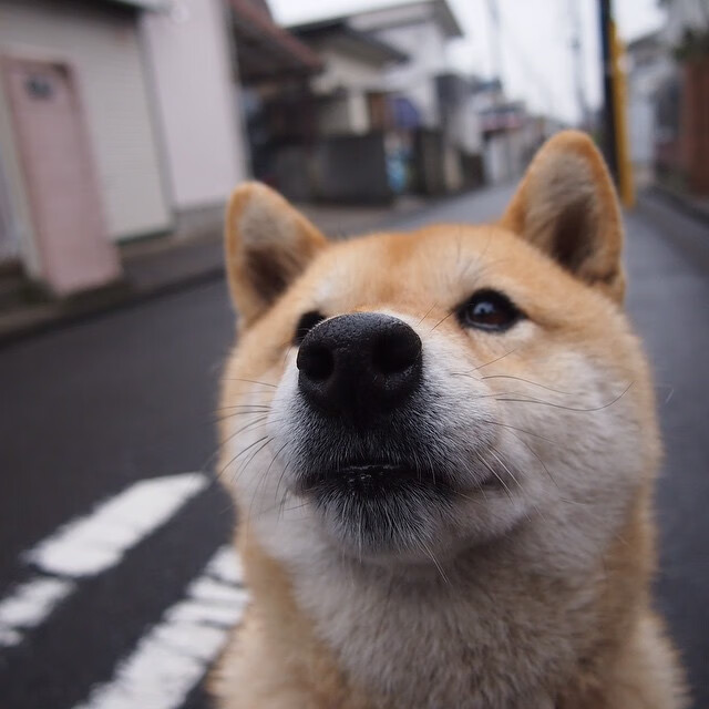 野牛狂奔！南非掀翻银河战舰，凯恩悲情爆发难阻风暴