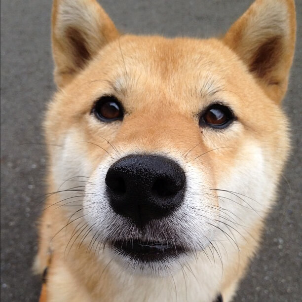 统治力与掌控感，一场属于特奥的双重奏，一场属于摩洛哥的冷静胜利