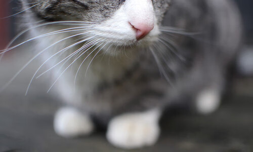 手术刀与重锤，当浙江的体系打穿火箭，锡安正重写关键先生定义