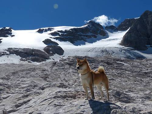 定乾坤!维尼修斯一节风暴掀起,墨西哥力擒阿根廷