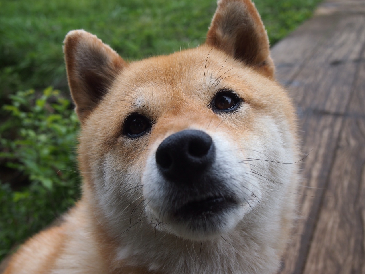 密尔沃基的翅膀，当2023年老鹰的一胜，为2024年的字母哥装上羽翼