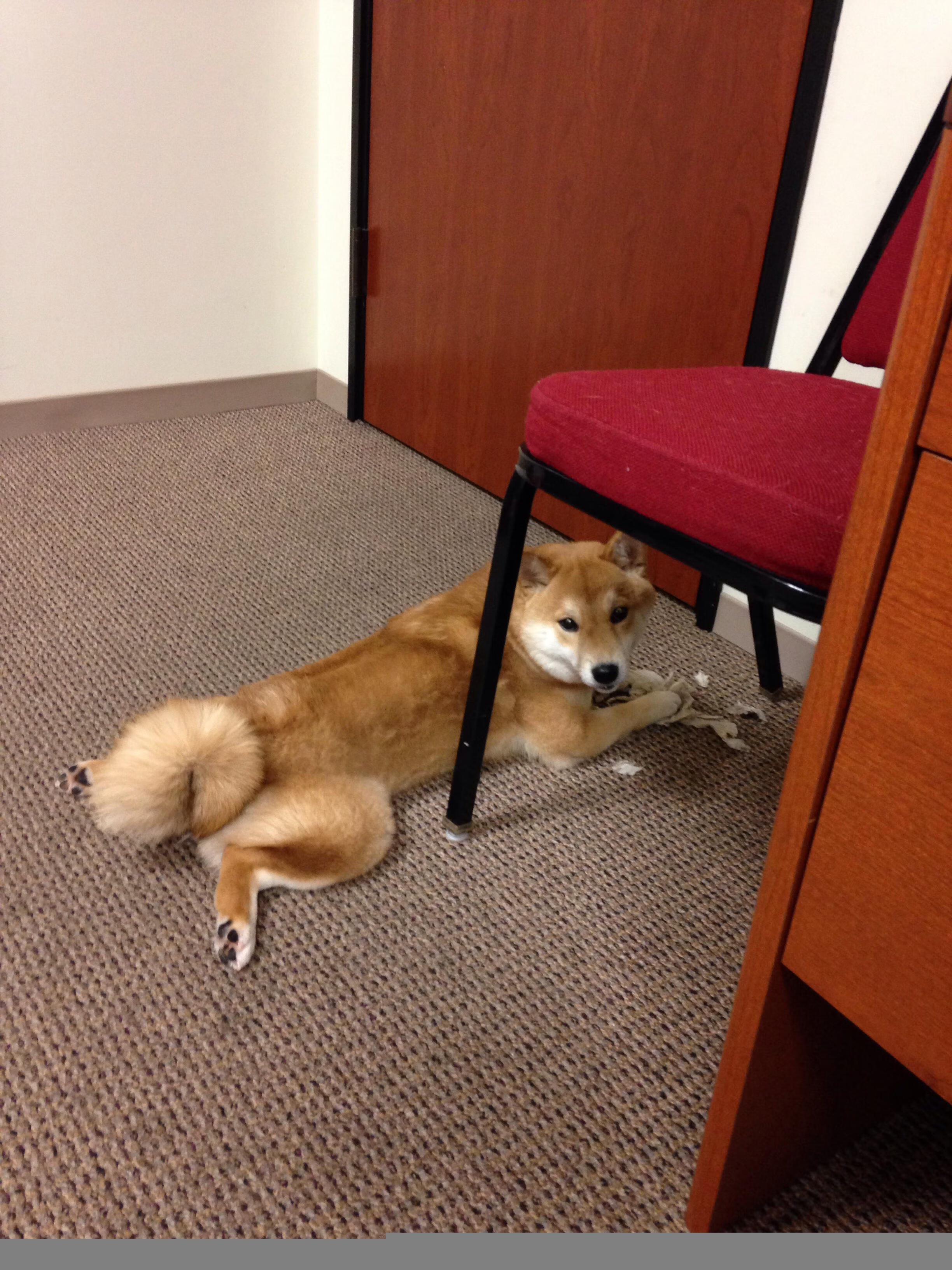 冰川与火山之间，当欧洲杯的密钥被冰岛人用一声维京战吼揭开，穆勒如何用一记岩浆喷射成为关键先生