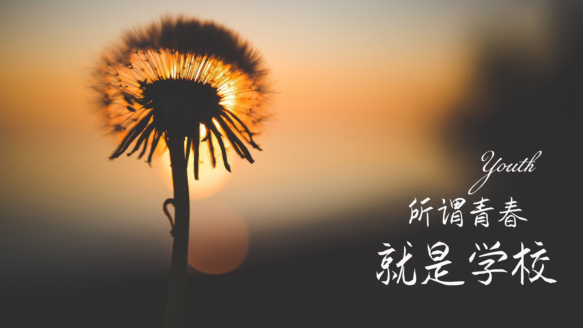 孤注一掷的铁壁，2026世界杯C组，奥地利如何用防守反击压制哥伦比亚，孙兴慜完成致命一击