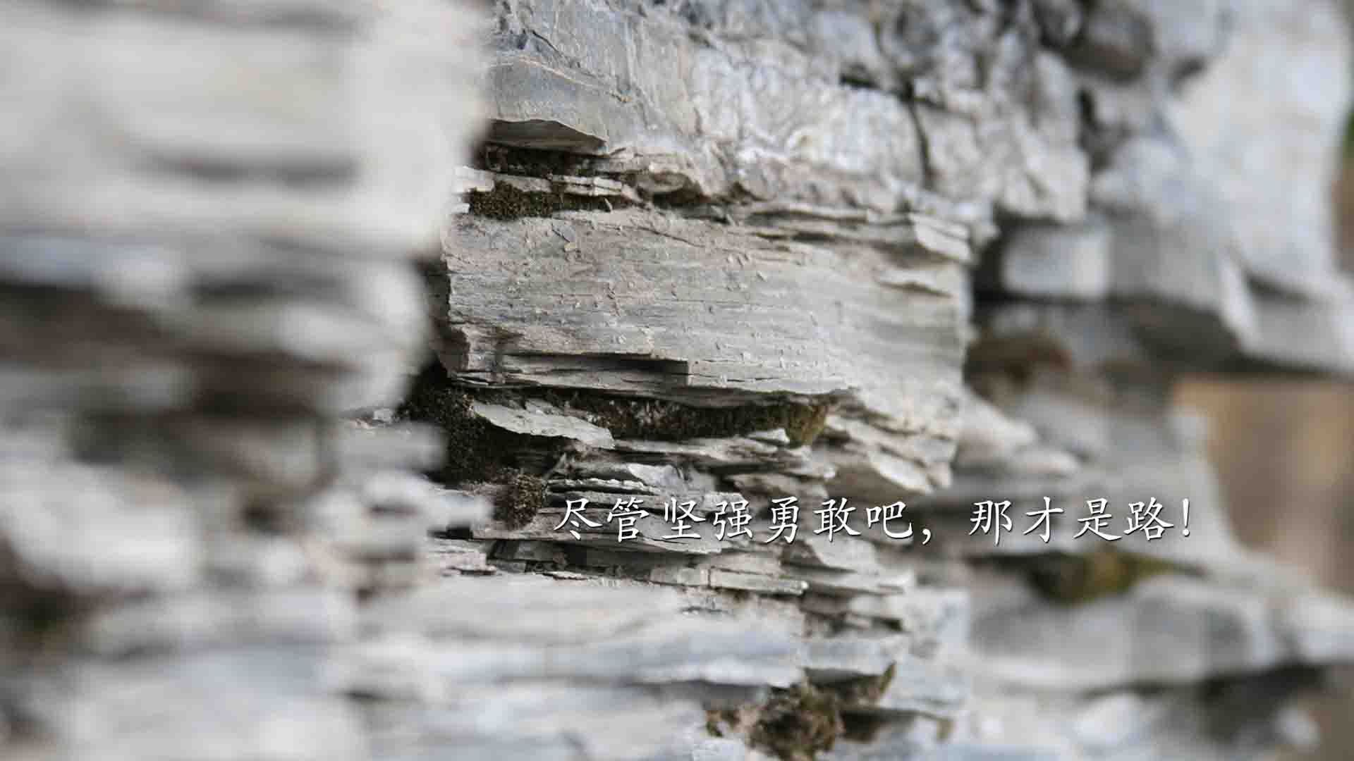 冰与火之歌,当C罗的最后一舞撞上东瀛新神的加冕礼—2026世界杯F组,一场决定两个时代命运的生死局
