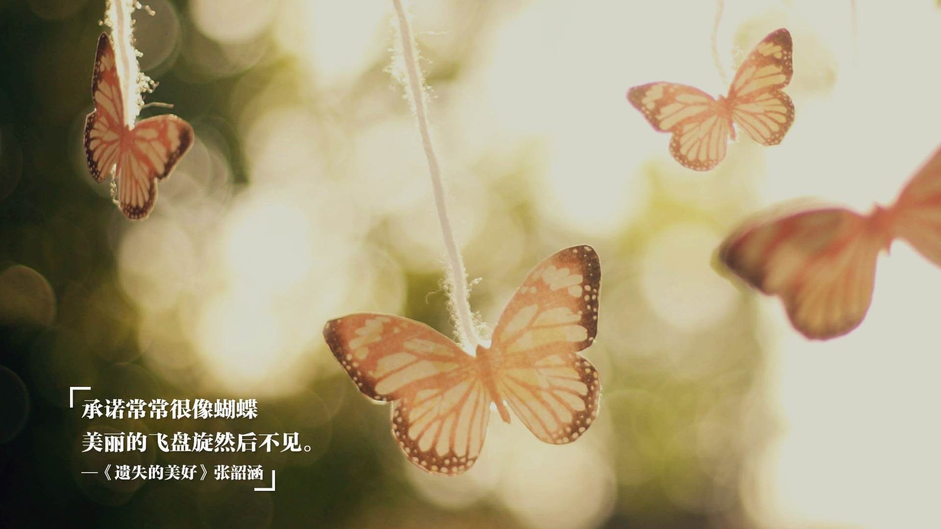 星条旗坠落琉森湖,孙兴慜策动韩流风暴,瑞士军刀精准解构美国足球—2026世界杯F组战术启示录